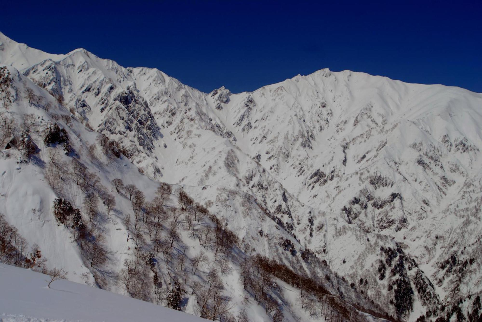 Bears Den Mountain Lodge Hakuba Exterior foto